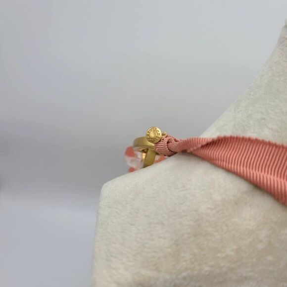 J Crew Nude Pink Lucite Gold Tone Link Ribbon Necklace - Picture 3 of 11